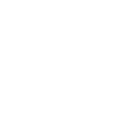 深度定制化方案